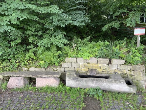 Habichtswaldsteig H6: Im Tal der Quellen (Extratour)