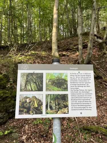 Habichtswaldsteig H6: Im Tal der Quellen (Extratour)
