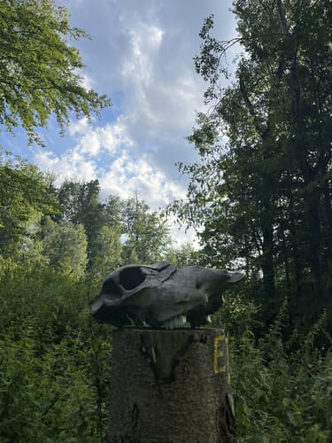 Habichtswaldsteig H6: Im Tal der Quellen (Extratour)