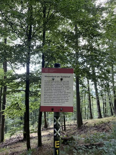 Habichtswaldsteig H6: Im Tal der Quellen (Extratour)
