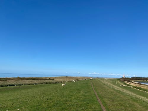 Ostseeküstenradweg Fehmarn