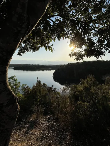 Best Hikes and Trails in Tallone AllTrails
