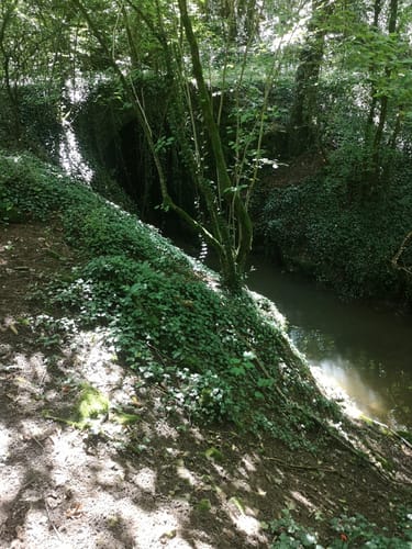 Wehrer Rosenberg (Premiumwanderweg)