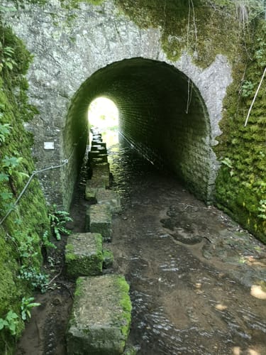 Wehrer Rosenberg (Premiumwanderweg)