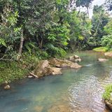 Charco Azul Trail, East Region, Puerto Rico - 105 Reviews, Map | AllTrails