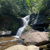 Butter Gap to Cat Gap Trail, North Carolina - 508 Reviews, Map | AllTrails