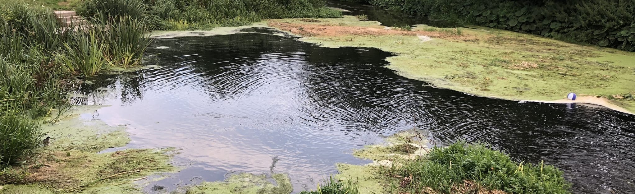 Market Deeping and River Welland, Cambridgeshire, England 24 Reviews