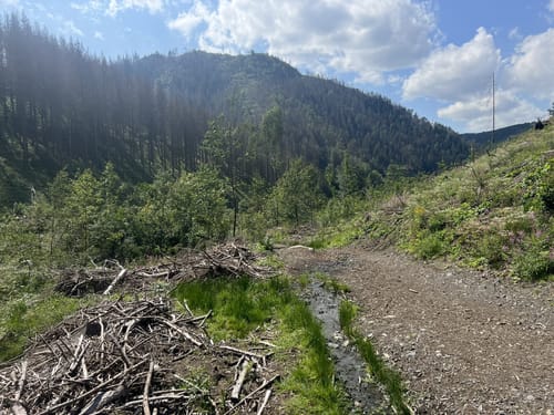 Okertal Rundweg
