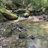 Polly Branch Falls Trail [CLOSED], Tennessee - 118 Reviews, Map | AllTrails