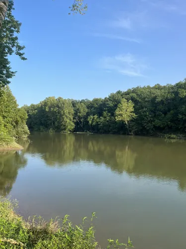 Best Hikes and Trails in Onondaga Cave State Park | AllTrails