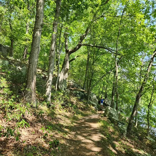 Best Beach Trails in Lost City AllTrails