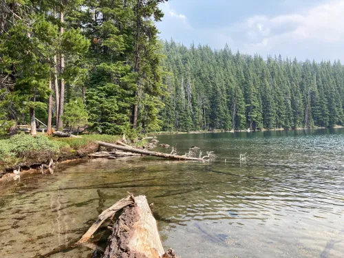 Best Hikes and Trails in Waldo Lake Wilderness | AllTrails