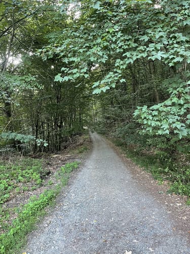 Alsbach Runde
