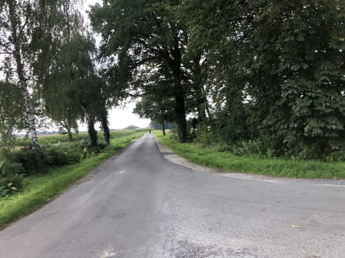 R 23: Rund um Freckenhorst