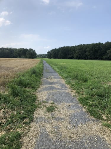 R 23: Rund um Freckenhorst