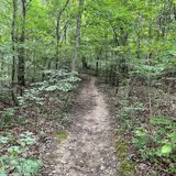 Meadow Run Trail, Pennsylvania - 995 Reviews, Map | AllTrails