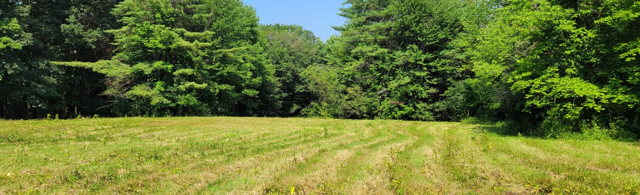 Snowshoe Hare, Pasture, and Pondicherry Trail Loop 143 Reviews, Map