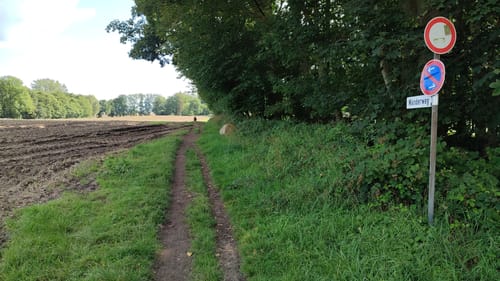Aus Waabs nach Damp