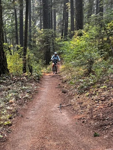 Nisene marks mountain online biking