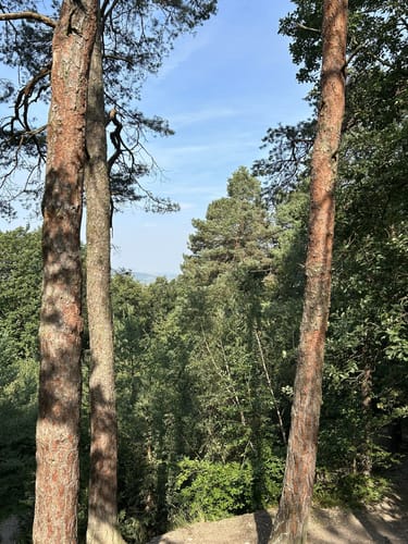 Remstecken-Runde