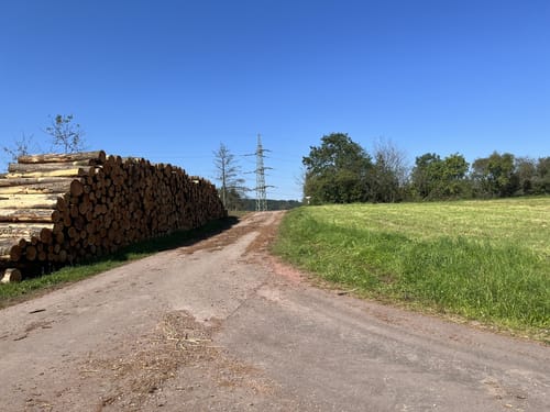 Vom Warsberg nach Ayl