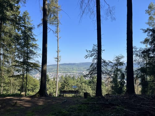 Vom Leukbachtal auf den Kruterberg