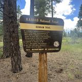 Benham National Recreation Trail, Arizona - 194 Reviews, Map | AllTrails