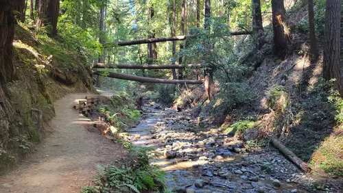 10 Best River Trails in Santa Cruz AllTrails