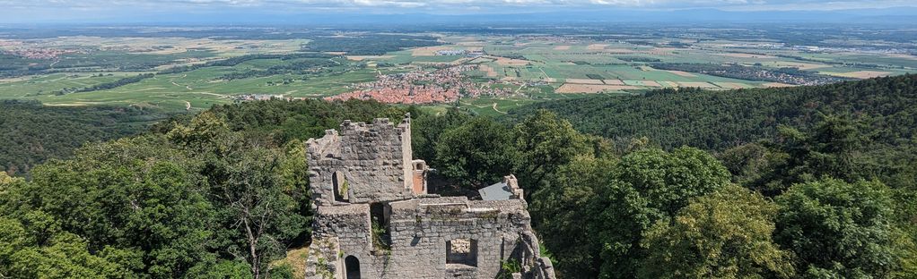 Bernstein, Ortenbourg and Ramstein Castles Loop, Bas-Rhin, France - 29  Reviews, Map