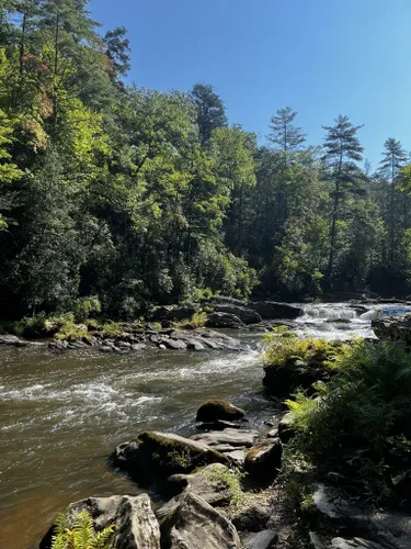 10 Best Hikes and Trails in Sumter National Forest | AllTrails