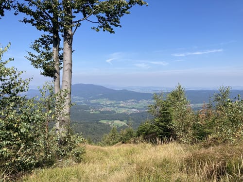 Durch den Kloster-Rotter-Wald