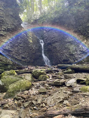 Best 10 Hikes and Trails in Unaka Mountain Wilderness | AllTrails