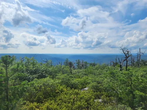 Best Hikes and Trails in Shawangunk Ridge State Forest AllTrails