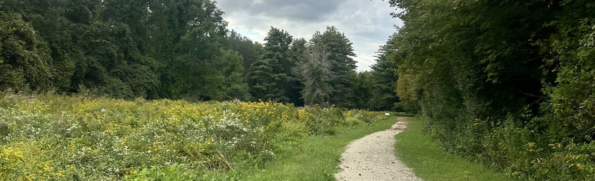 Hooksett Riverwalk Trail, New Hampshire 120 Reviews, Map AllTrails