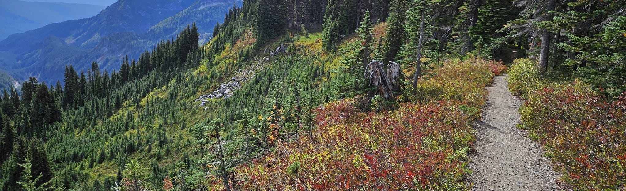 Mazama Ridge Trail via 4th Crossing Trail, Washington - 88 Reviews, Map ...