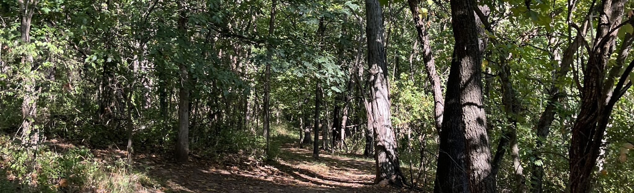 Culp Park Main Loop, Missouri - 27 Reviews, Map | AllTrails