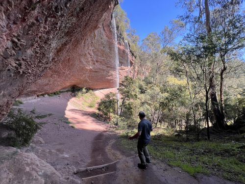 Paradise Falls VIC