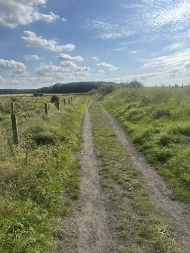 2023 Best Long Trails In Ainsdale Sand Dunes Nature Reserve 