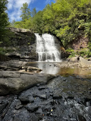 Best Hikes and Trails in Swallow Falls State Park | AllTrails