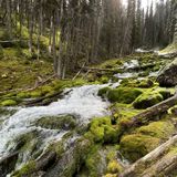 Karst Spring Trail, Alberta, Canada - 840 Reviews, Map | AllTrails