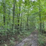 Trail Around Middlebury: Full Loop, Vermont - 97 Reviews, Map | AllTrails