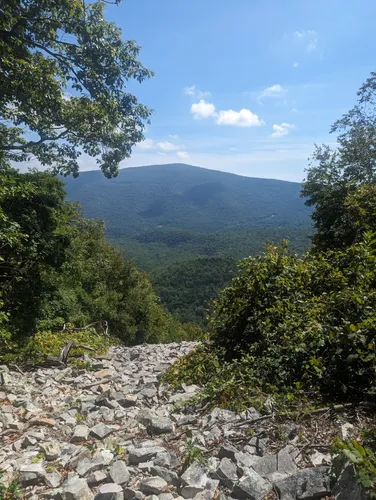 2023 Best Beach Trails in George - EyJidWNrZXQiOiJhc3NldHMuYWxsdHJhaWxzLmNvbSIsImtleSI6InVwbG9hZHMvcGhvdG8vaW1hZ2UvNjU0Nzg4NzgvMmM3YzU2YmJiMTRkNGZiZGJhMTQ2N2EzZDI5ZTQ3ZGYuanBnIiwiZWRpdHMiOnsidG9Gb3JtYXQiOiJ3ZWJwIiwicmVzaXplIjp7IndpZHRoIjo1MDAsImhlaWdodCI6NTAwLCJmaXQiOiJpbnNpZGUifSwicm90YXRlIjpudWxsLCJqcGVnIjp7InRyZWxsaXNRdWFudGlzYXRpb24iOnRydWUsIm92ZXJzaG9vdERlcmluZ2luZyI6dHJ1ZSwib3B0aW1pc2VTY2FucyI6dHJ1ZSwicXVhbnRpc2F0aW9uVGFibGUiOjN9fX0=