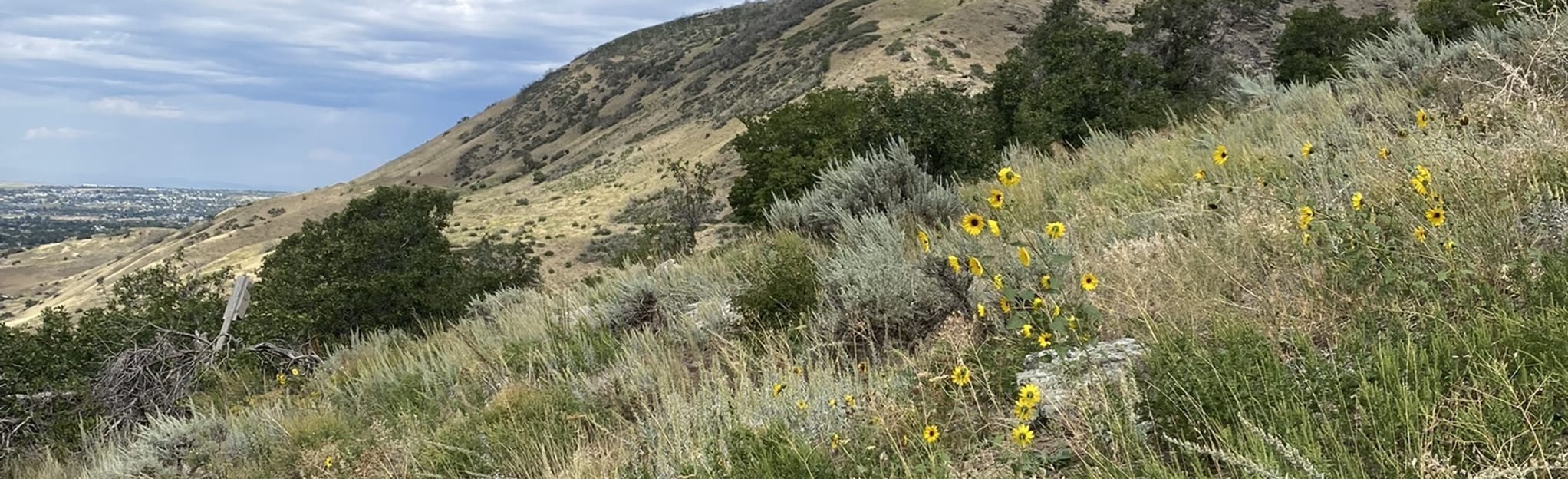 Fruit Heights Upper Terrace Trail, Utah 169 Reviews, Map AllTrails