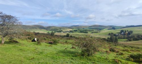 Photos of Alwinton and Windy Gyle Circular (Via The Street Way) -  Northumberland, England