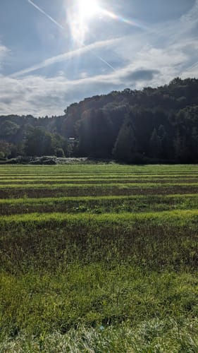 Wupperhof Rundweg A1