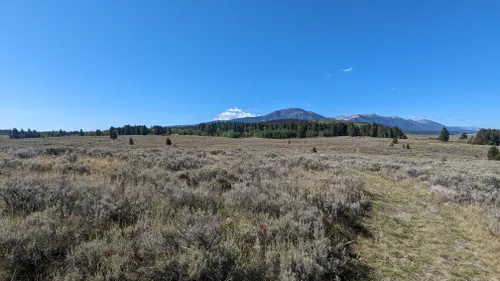 Best Hikes and Trails in Henrys Lake State Park | AllTrails