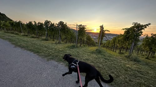 Über den Kleinen Rossberg