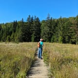 Bear Rocks, Raven Ridge, and Dobbin Grade Trail, West Virginia - 616 ...