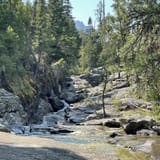 Bear Creek Trail, Montana - 464 Reviews, Map | AllTrails