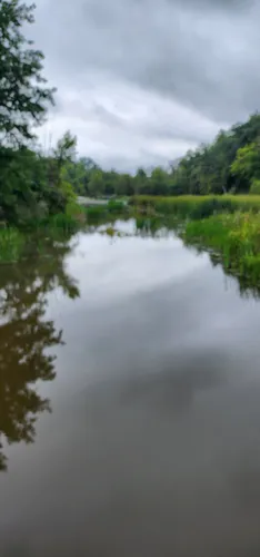 Best Hikes and Trails in Five Rivers Environmental Education Center ...